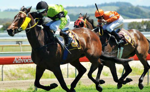 Jockey Matthew Bennett shows perfect styling as he drives Holding On to the line to win the opening race at Coffs Harbour yesterday. Jockey Matthew Bennett shows perfect styling as he drives Holding On to the line to win the opening race at Coffs Harbour yesterday.